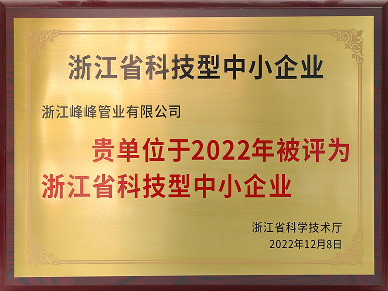 Zhejiang Eyaleti Bilim ve Teknoloji Küçük ve Orta Ölçekli İşletmeler